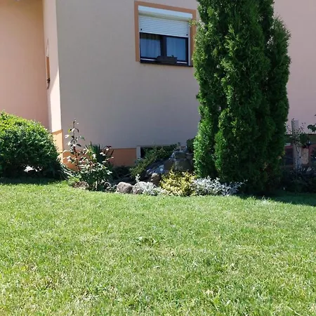 Apartment Cigota *