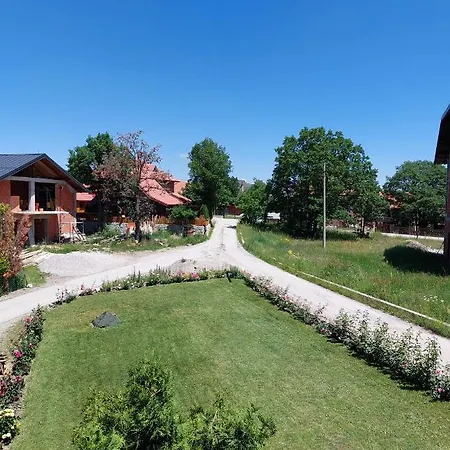 Cigota Zlatibor